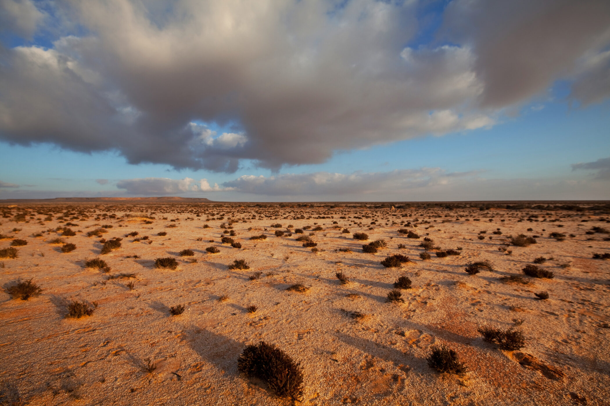 Western Sahara, Morocco